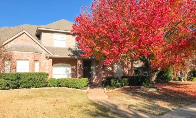 Trees to Plant Next to House