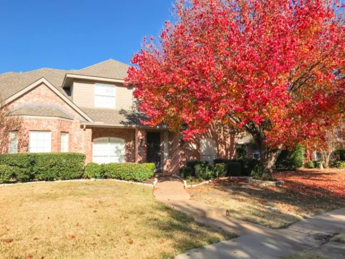 Trees to plant next to house