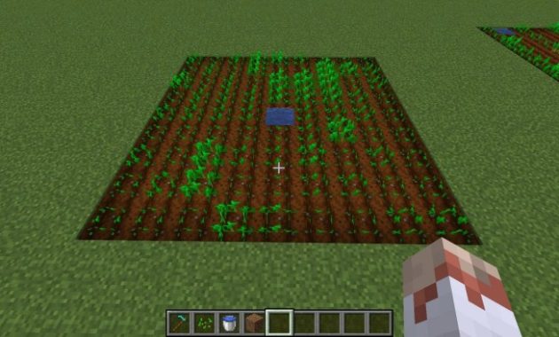 How Do You Plant Seeds on Minecraft?