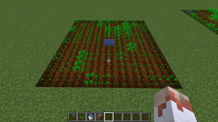 How do you plant seeds on minecraft