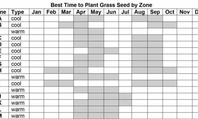 Best Month to Plant Grass Seed