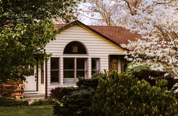 Trees to plant next to house